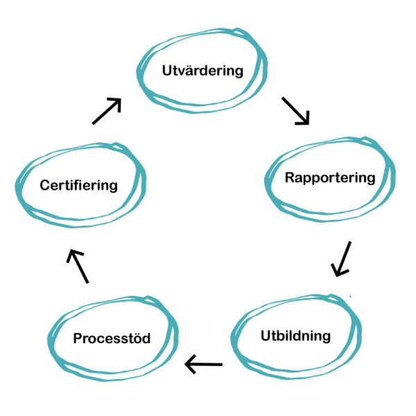 Certifieringsprocessens fem steg: utvärdering, rapportering, utbildning, processtöd och certifiering.